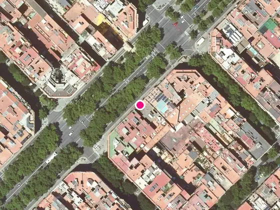 Belover Gran Via
