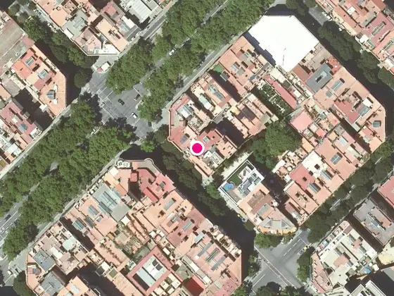 Boyberry Barcelona en la calle Calàbria