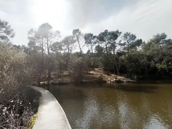Excursión nocturna al lago