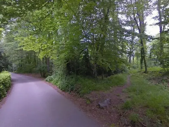 Aiguamoixos de Olot