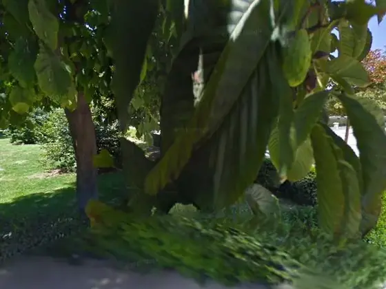 El Retiro