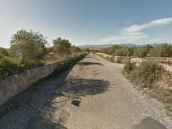 Cami de Son Binissalom