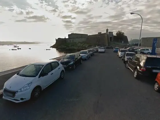 Paseo Parrote