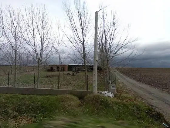 Bodegas