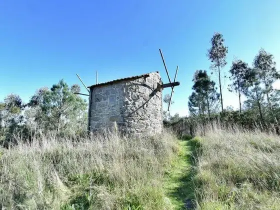 Molinos de Catoira