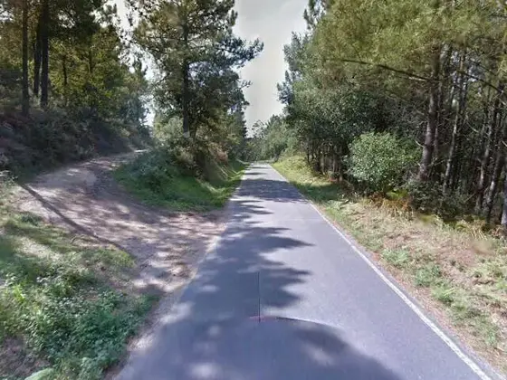 Camino de Pedregosa