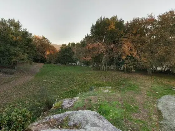 Parque do Castriño