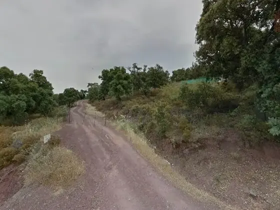 Por las encinas