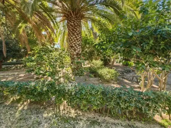 Parque Genovés