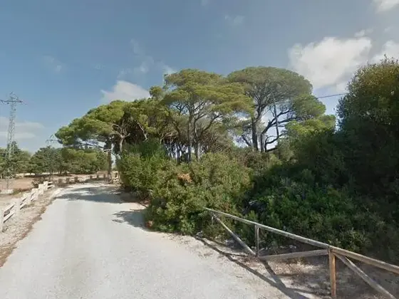 Los Pinos de Puerto Real