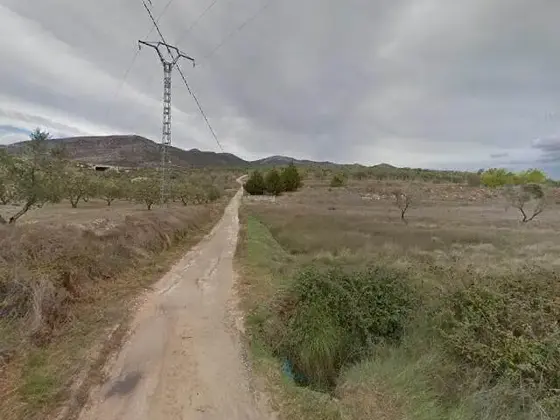 Monte de los Olivos