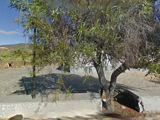 Ermita Virgen del Pino