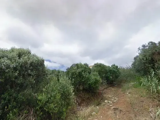 Descampado de estrellas