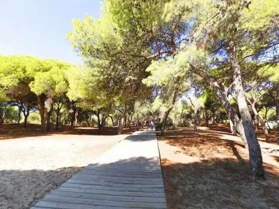 Los Pinos del Parque La Almadraba