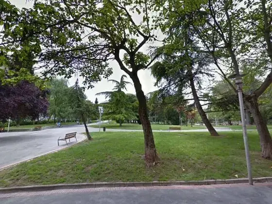 Parque de Molinuevo