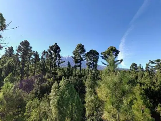 Entrada al Parque natural del Teide