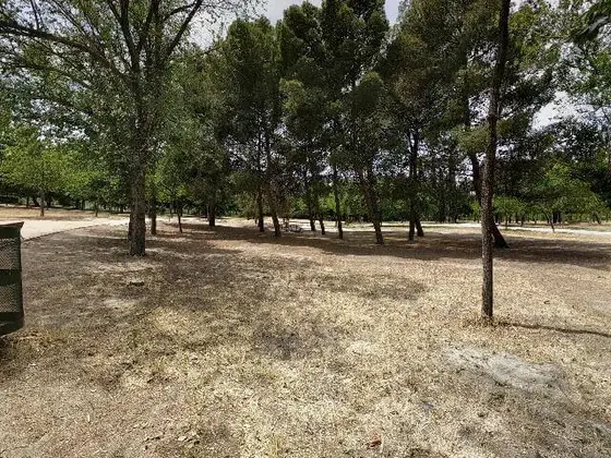 Parque de Plata y Castañar