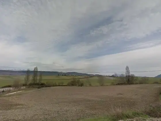 Huerto de torres