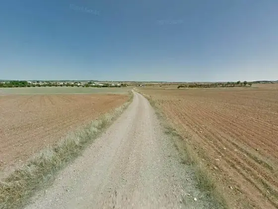 Campos de Osa de la Vega