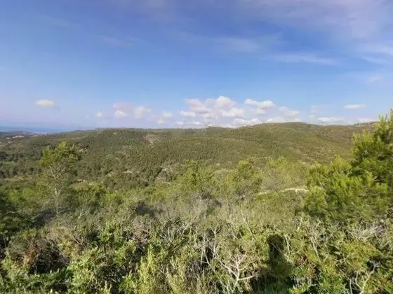Camino al repetidor de El Vendrell