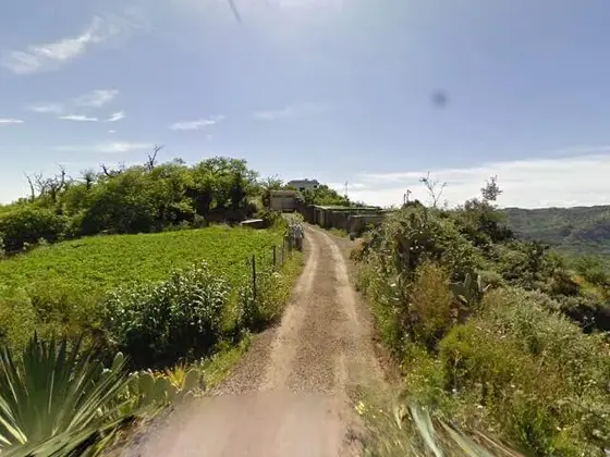 Camino rural en Teror