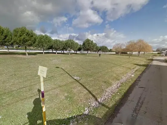 Gran parque con arboles