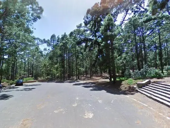 Zona de acampada de Las Raices