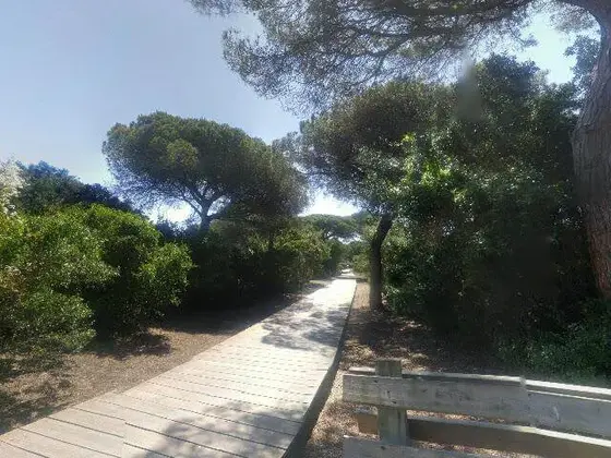 Pinar de La Algaida