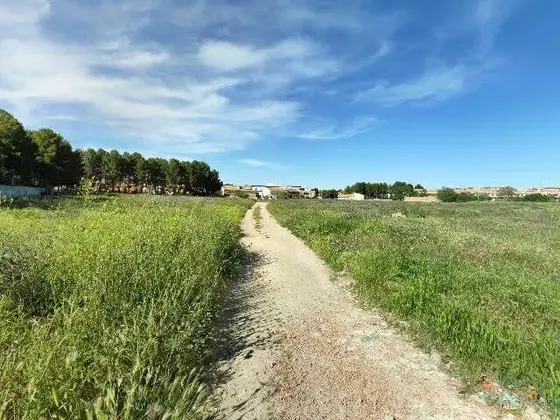 Campo de Albacete