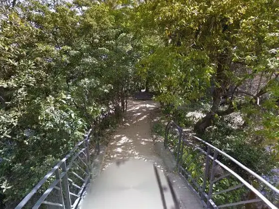 Banco en la islita del parque