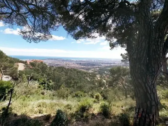 Con fantásticas vistas a Barcelona