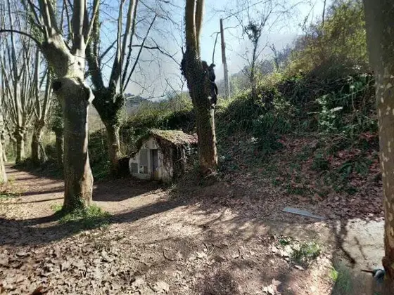 Camino de les Tries