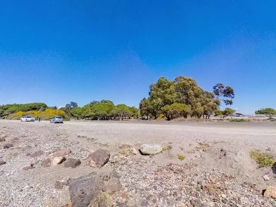 Bosque de Palomares