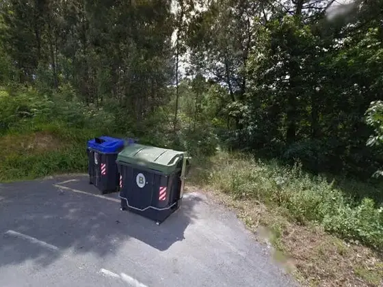 Camino del bosque de Bilbo
