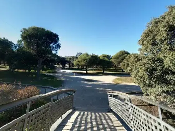 Escapada al campo