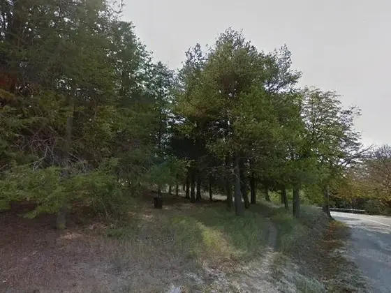 Bosque del Castillo