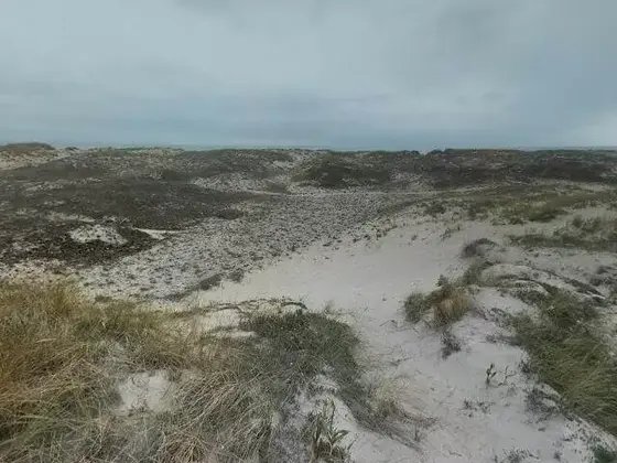Praia de Baldaio