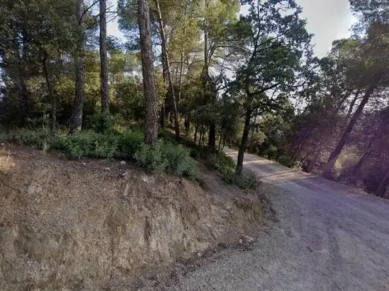 Font del Fumet - La Floresta
